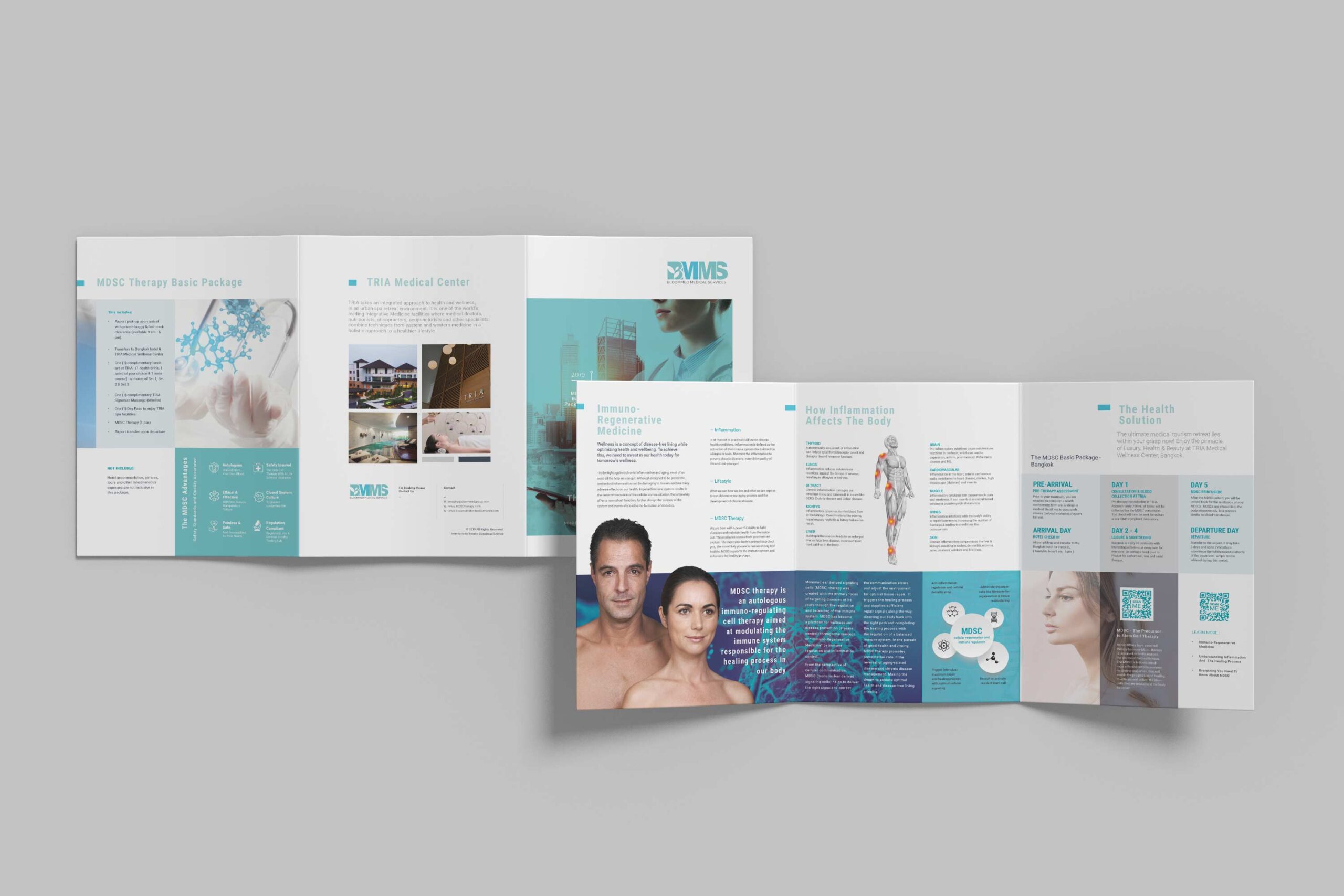 BMMS-Trifold-Mockup